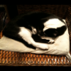 Spooky relaxing at home